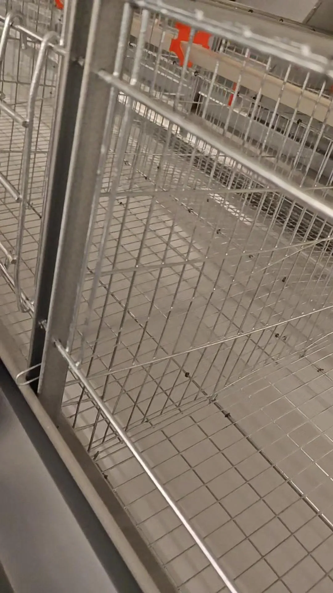 Cage door, hinge and wire-mesh detail