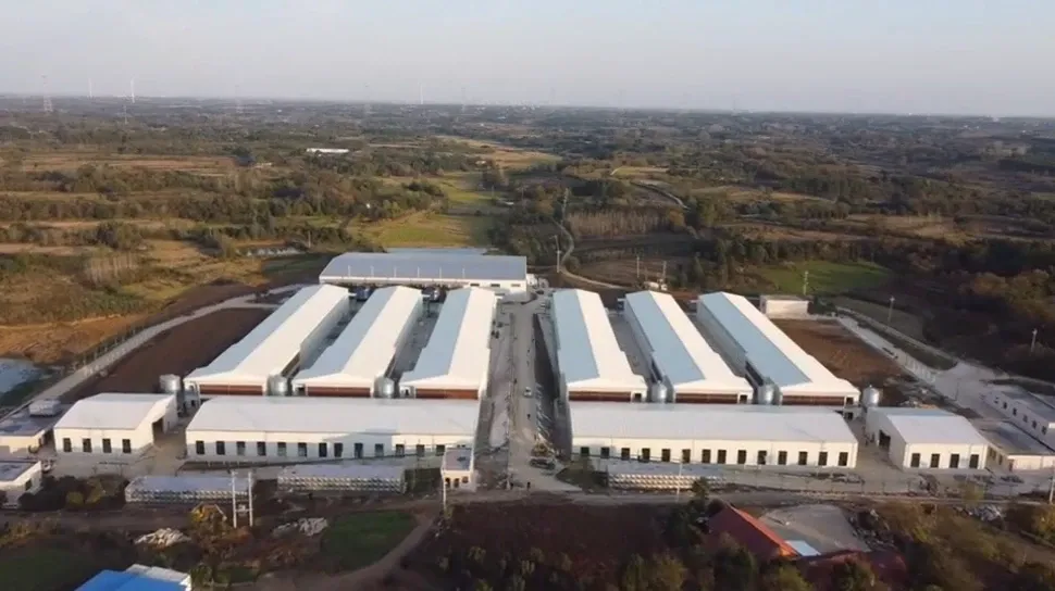 Poultry-house buildings and site access roads