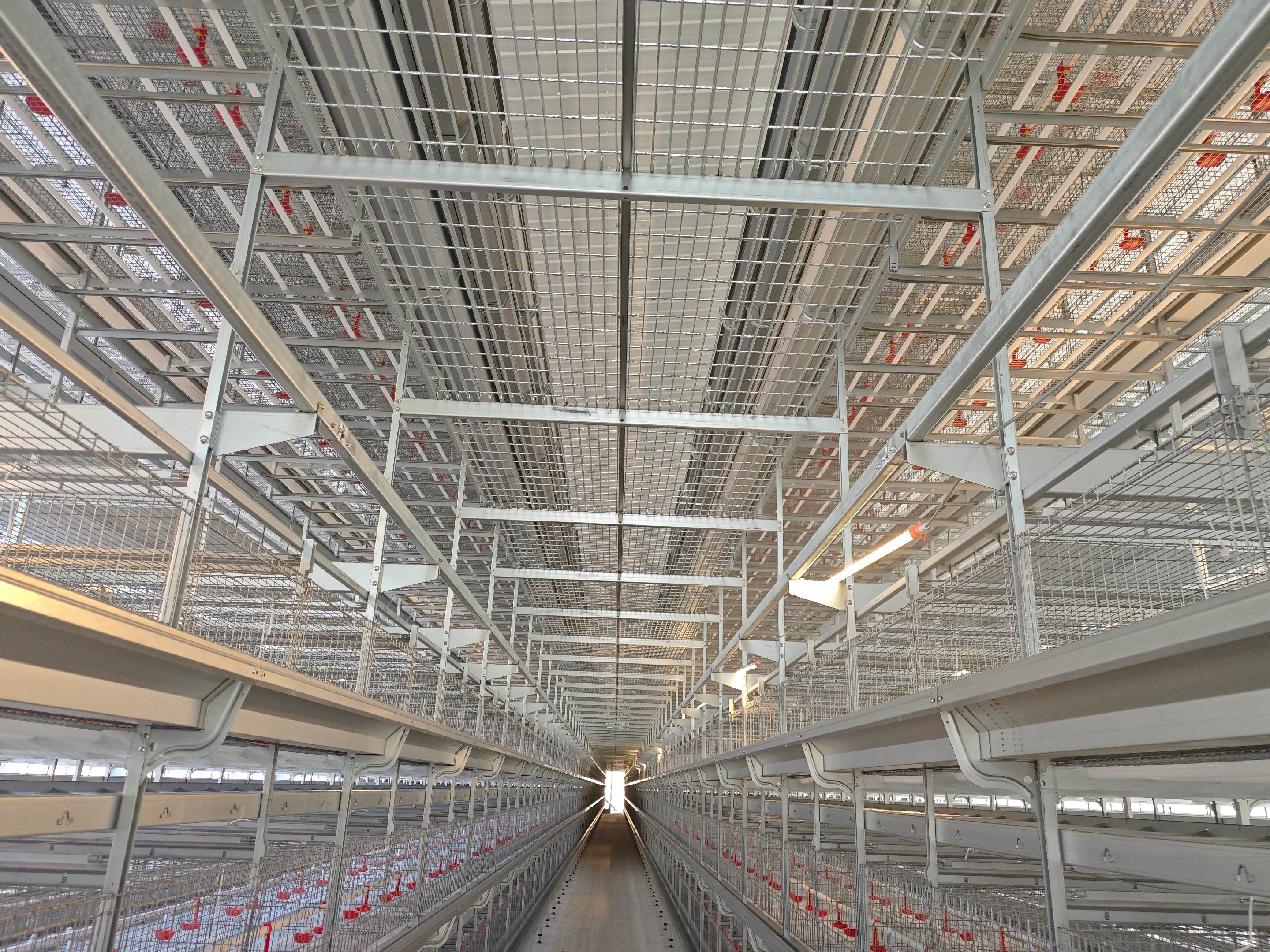 Central aisle between multi-tier poultry cage rows at an installation site in Tanzania
